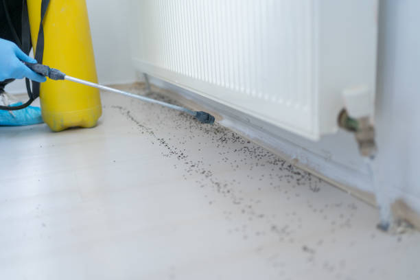 Professional Pest Control in Ocean City, FL