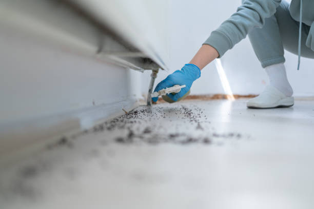 Best Best Pest Control Companies  in Ocean City, FL